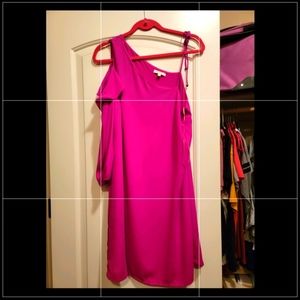 NWT!! One shoulder pink dress